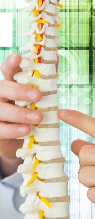 Educational Infrastructure, Design and Development